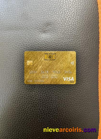 Sri Lanka Bank of Ceylon bank visa gold card photolook